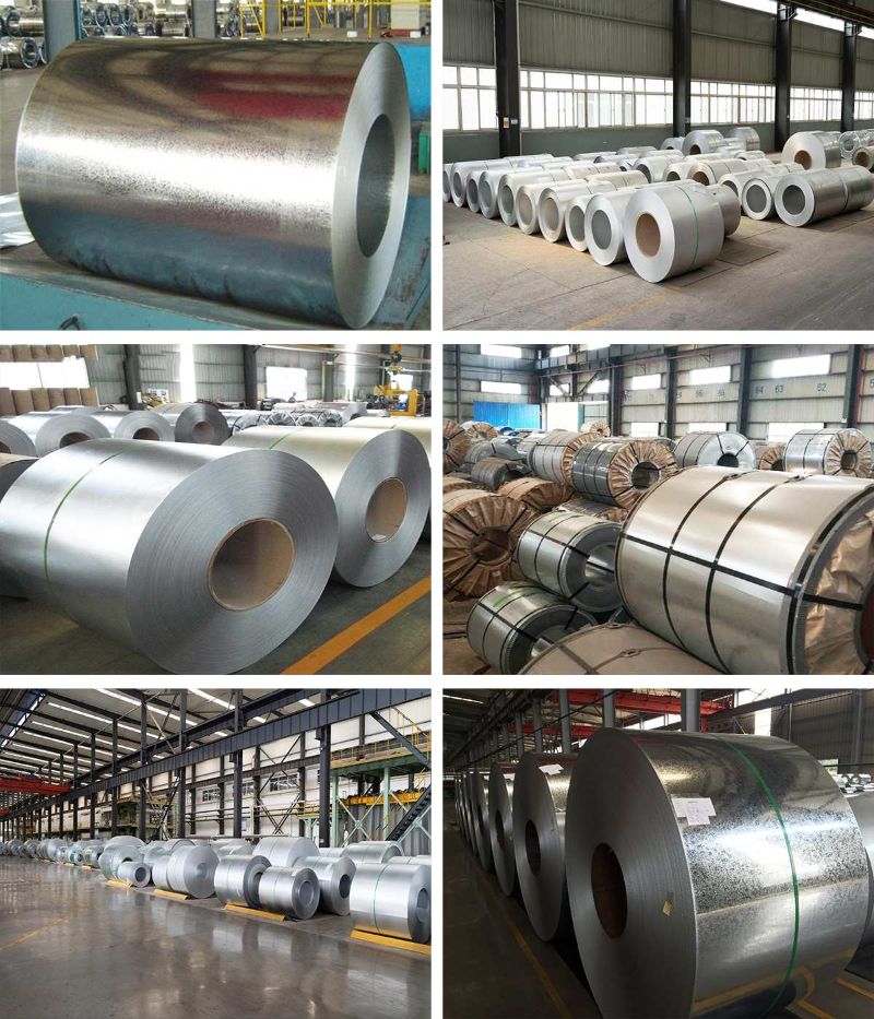 Galvanized Steel Sheet in Coil